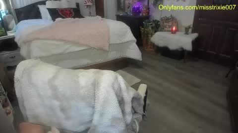 miss_trixie stream preview