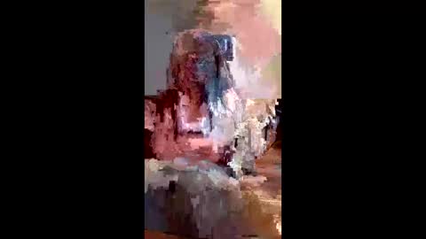 missb901 live stream