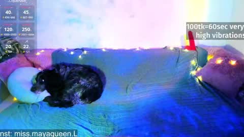 missmayaqueen stream preview
