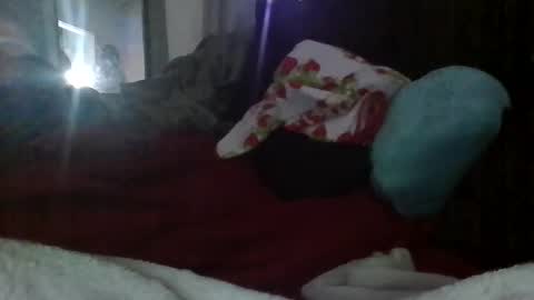 misst1221 stream preview