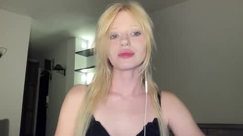 mollycodle stream preview