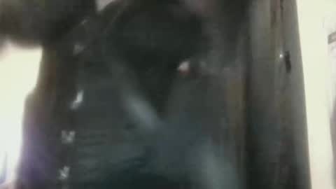 moxxxieg live stream