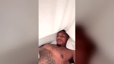 mrreborn999 live stream