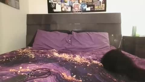 msmariesummers live stream