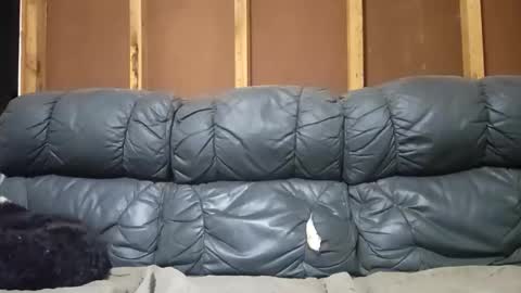 myleshodges live stream