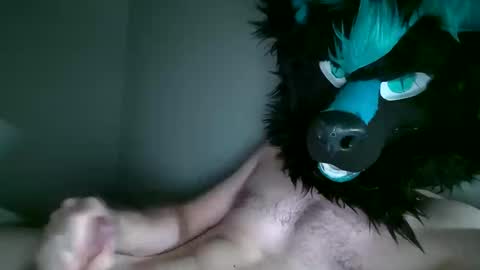 n33ds2br33d live stream