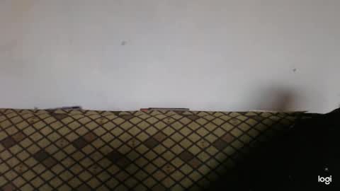 neriphine stream preview