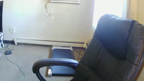 niccibaby stream preview