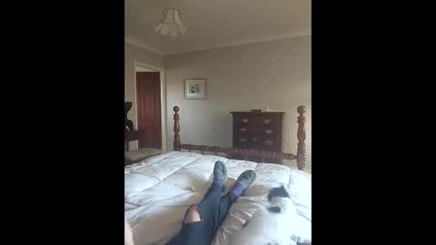 noideawhatididwrong live stream