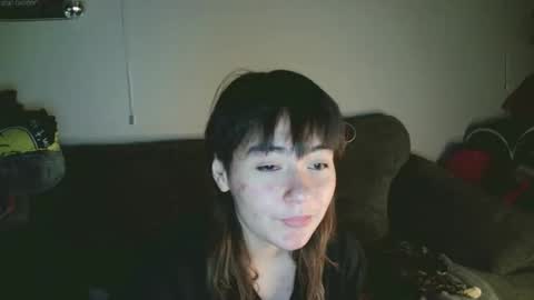 notmyfroggy stream preview