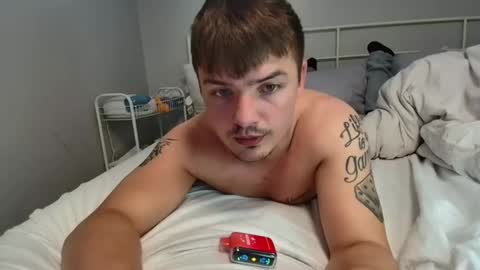 notoribliss live stream