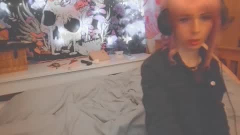 notyourfemboi stream preview