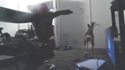 novaandducky stream preview