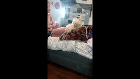 noxxsable live stream