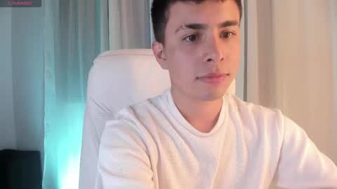 nyko_ds stream preview