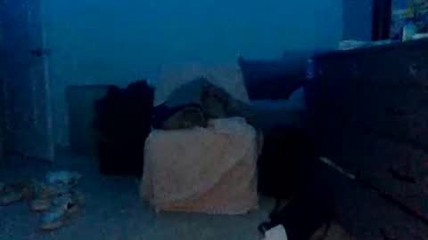 ojutaitheomnimous live stream