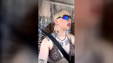 onegirlonevan stream preview