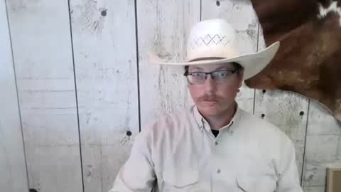 openmindedcowboy stream preview