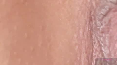 orchidekitty stream preview