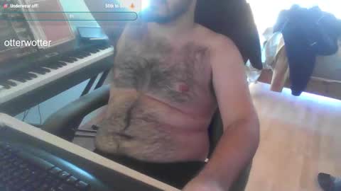 otterwotter stream preview