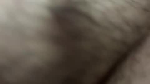 papiipr185 stream preview