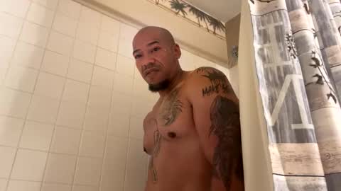 pcuddy3 live stream