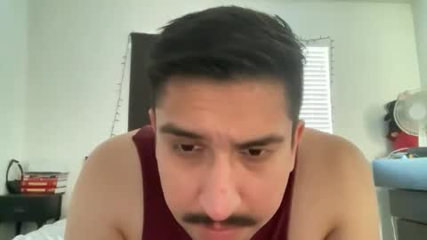 pdicke123 stream preview