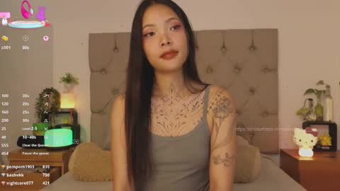 peisinoe_____ stream preview