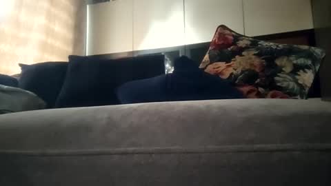 perspikce47 stream preview