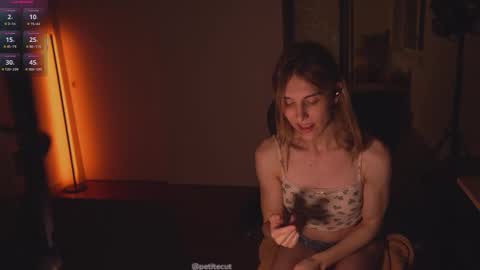 petitecut stream preview
