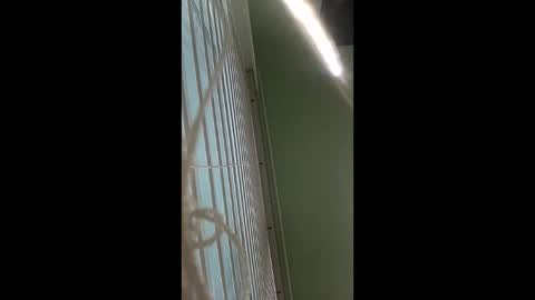 phoenixwap stream preview