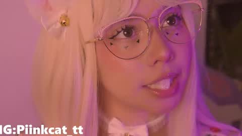 piinkcat stream preview