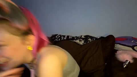 pinkitten live stream