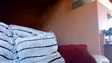 piztayouplz stream preview