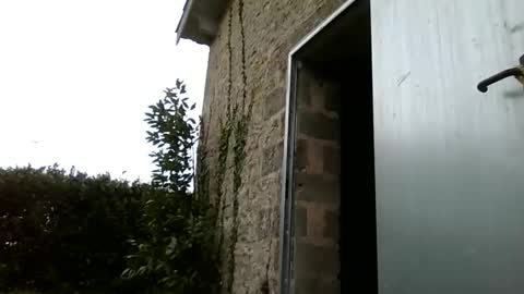 plaisirssecret stream preview