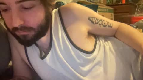 playfulpork stream preview