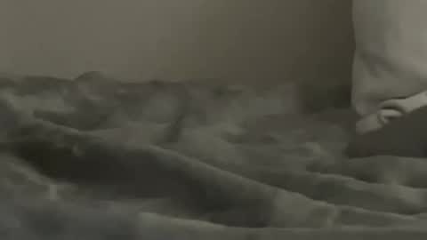 pleasureshared631 stream preview