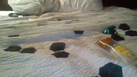 pnasty76012 live stream