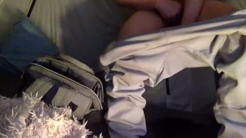 pnp385763 live stream