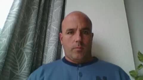 pocoyotop live stream