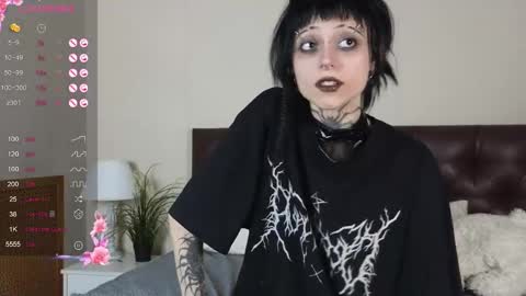 polidevis stream preview