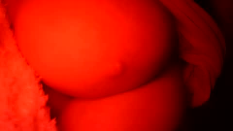 porcella814 live stream