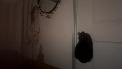 prettything11 stream preview