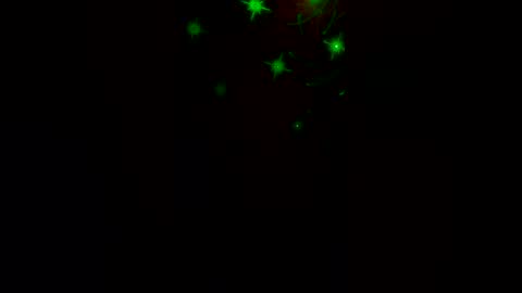 propane317 live stream