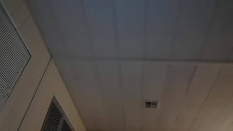 pufftropica live stream