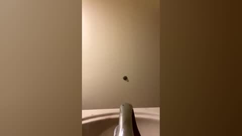 r0cky8 stream preview