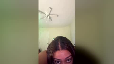 reinarica stream preview