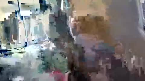 renatocavedon1 live stream