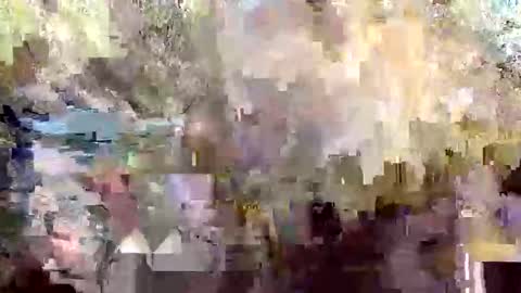 retniwtirips live stream