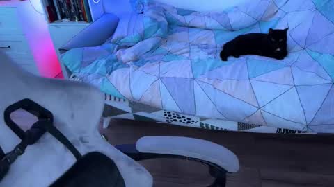 ripper_66 stream preview